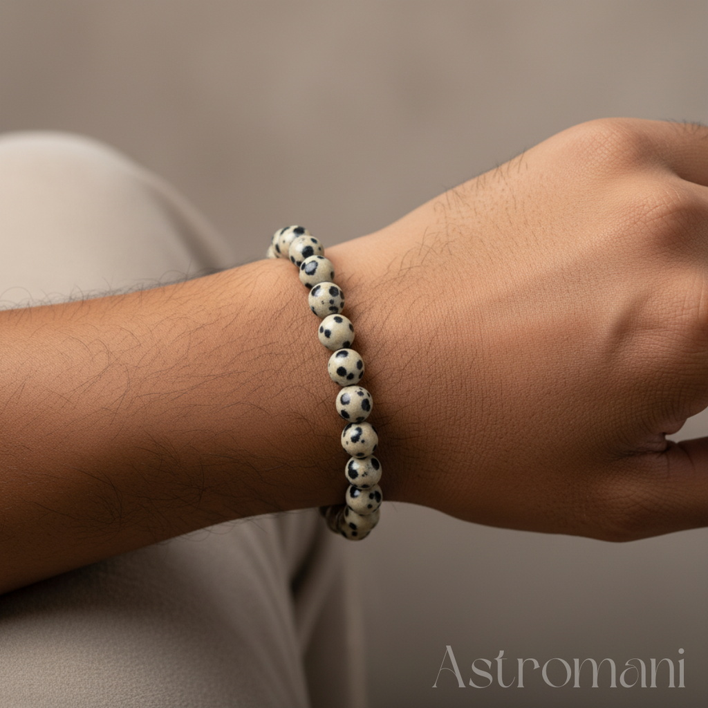 Dalmatian Jasper Bracelet Premium