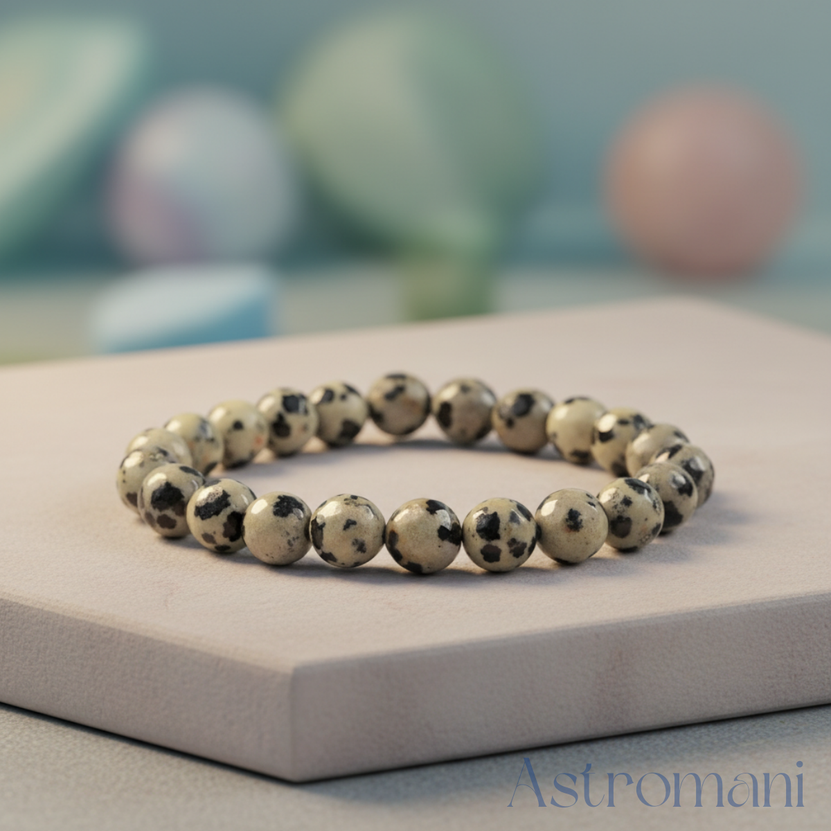 Dalmatian Jasper Bracelet Premium